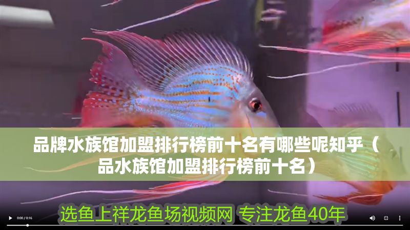 品牌水族館加盟排行榜前十名有哪些呢知乎（品水族館加盟排行榜前十名）