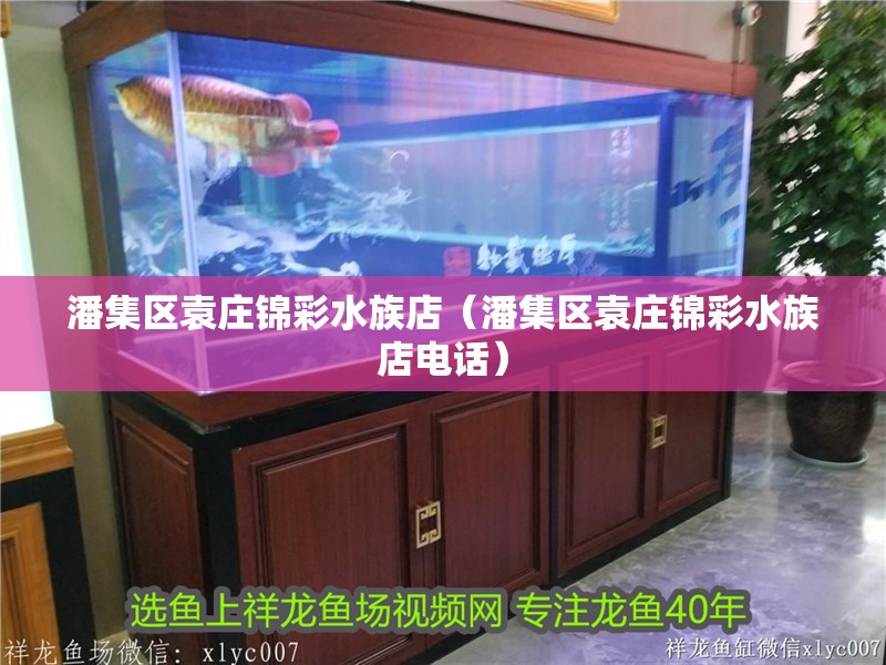 潘集區袁莊錦彩水族店（潘集區袁莊錦彩水族店電話）