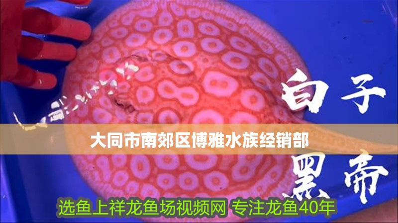 大同市南郊區博雅水族經銷部 大同市南郊區博雅水族經銷部 全國水族館企業名錄 第2張