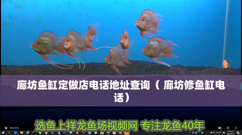 廊坊魚缸定做店電話地址查詢（ 廊坊修魚缸電話）