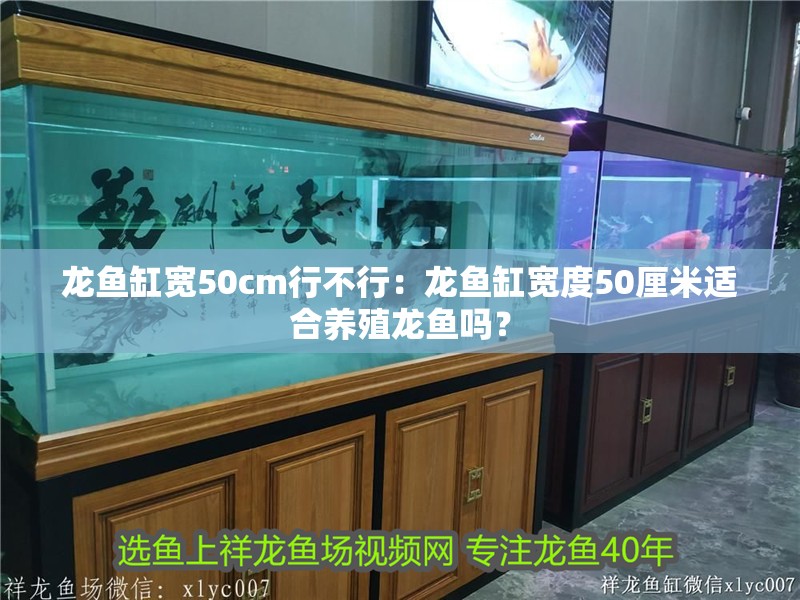 龍魚缸寬50cm行不行：龍魚缸寬度50厘米適合養殖龍魚嗎？