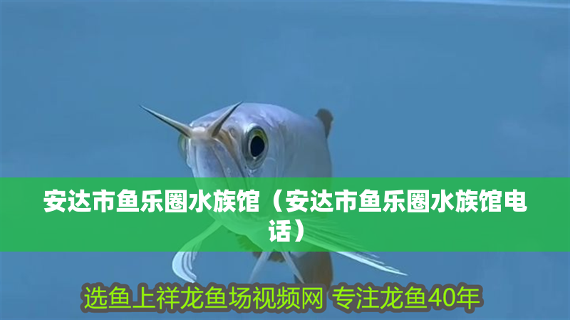 安達市魚樂圈水族館（安達市魚樂圈水族館電話）