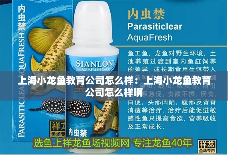 <strong><mark>上海</mark></strong>小龍魚教育公司怎么樣：<strong><mark>上海</mark></strong>小龍魚教育公司怎么樣啊