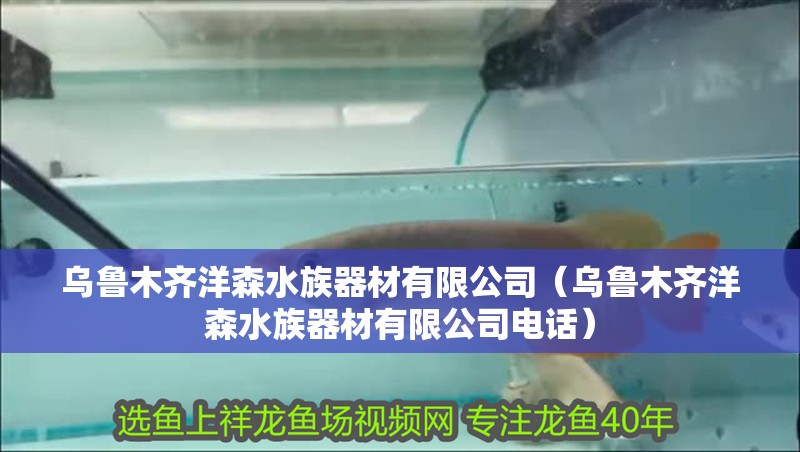 烏魯木齊洋森水族器材有限公司（烏魯木齊洋森水族器材有限公司電話） 烏魯木齊洋森水族器材有限公司（烏魯木齊洋森水族器材有限公司電話） 全國水族館企業名錄 第2張