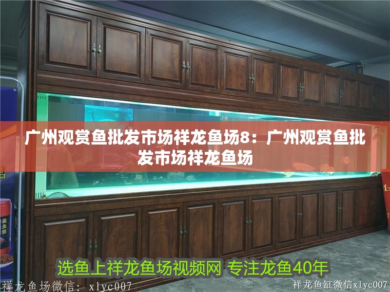 廣州觀賞魚批發市場祥龍魚場8：廣州觀賞魚批發市場祥龍魚場