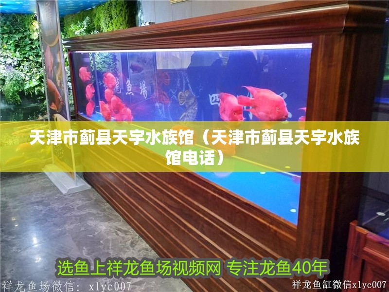 天津市薊縣天宇水族館（天津市薊縣天宇水族館電話）