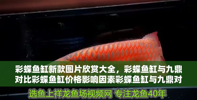 彩蝶魚缸新款圖片欣賞大全，彩蝶魚缸與九鼎對(duì)比彩蝶魚缸價(jià)格影響因素彩蝶魚缸與九鼎對(duì)比
