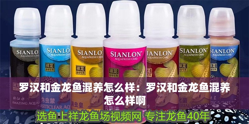 羅漢和金龍魚混養(yǎng)怎么樣：羅漢和金龍魚混養(yǎng)怎么樣啊