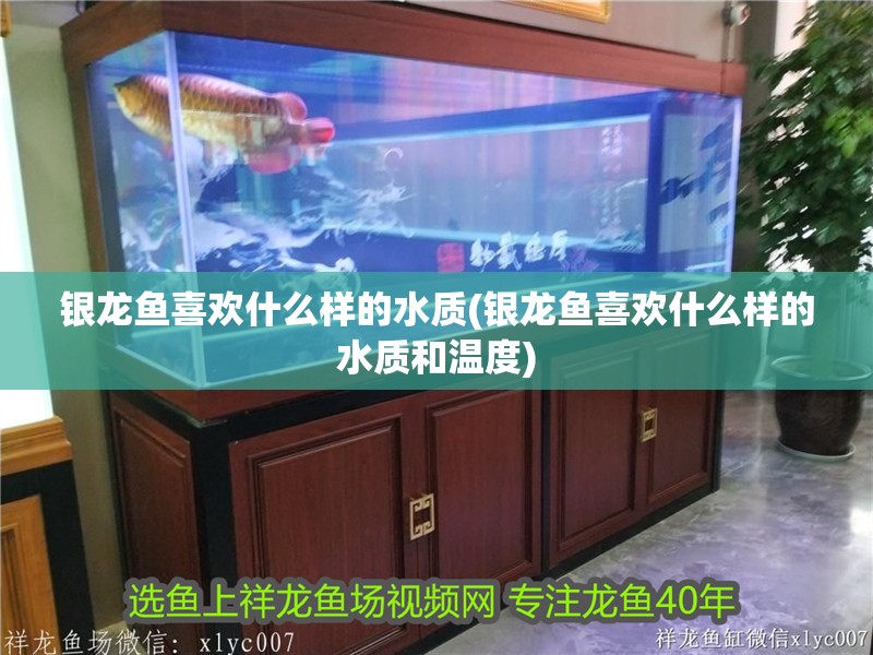 銀龍魚喜歡什么樣的水質(zhì)(銀龍魚喜歡什么樣的水質(zhì)和溫度)