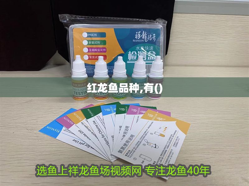紅龍魚品種,有() 紅龍魚品種,有() 龍魚百科 第1張