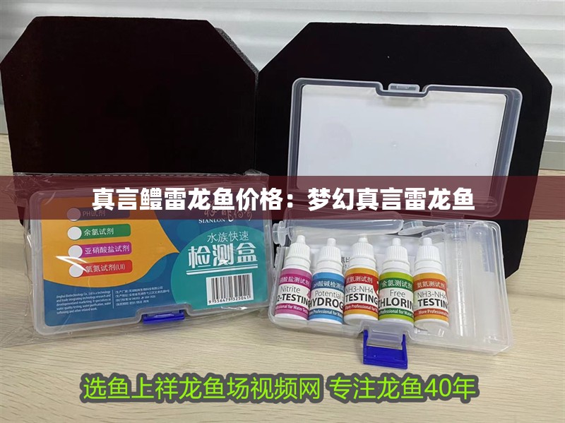 真言鱧雷龍魚價(jià)格：夢(mèng)幻真言雷龍魚