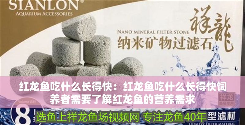 紅龍魚吃什么長得快：紅龍魚吃什么長得快飼養者需要了解紅龍魚的營養需求