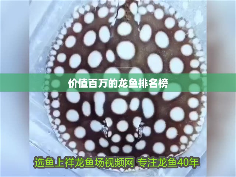 價值百萬的龍魚排名榜