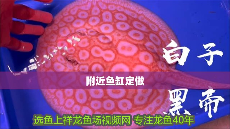 附近魚缸定做