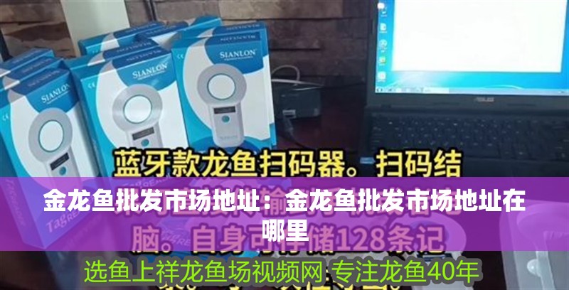 金龍魚批發市場地址：金龍魚批發市場地址在哪里