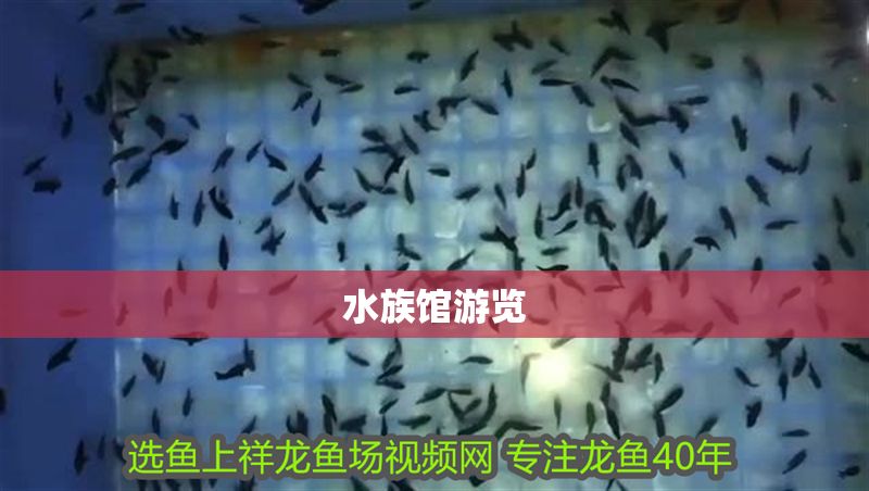 水族館游覽