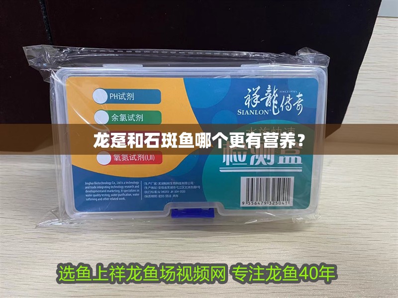 龍躉和石斑魚哪個更有營養？