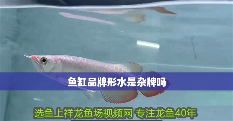 魚缸品牌形水是雜牌嗎