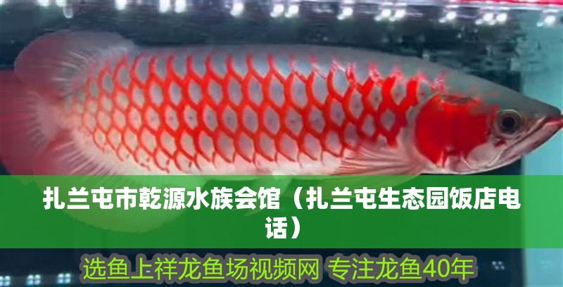 扎蘭屯市乾源水族會館(扎蘭屯生態園飯店電話) 全國水族館企業名錄 第2張 扎蘭屯市乾源水族會館(扎蘭屯生態園飯店電話) 扎蘭屯市乾源水族會館(扎蘭屯生態園飯店電話) 全國水族館企業名錄 第2張