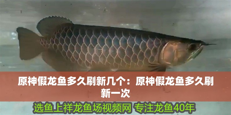 原神假龍魚多久刷新幾個:原神假龍魚多久刷新一次 水族問答 原神假龍魚多久刷新幾個:原神假龍魚多久刷新一次 原神假龍魚多久刷新幾個:原神假龍魚多久刷新一次 水族問答