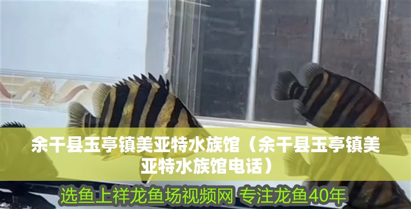 余干縣玉亭鎮(zhèn)美亞特水族館（余干縣玉亭鎮(zhèn)美亞特水族館電話(huà)）