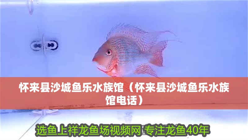 懷來縣沙城魚樂水族館（懷來縣沙城魚樂水族館電話）