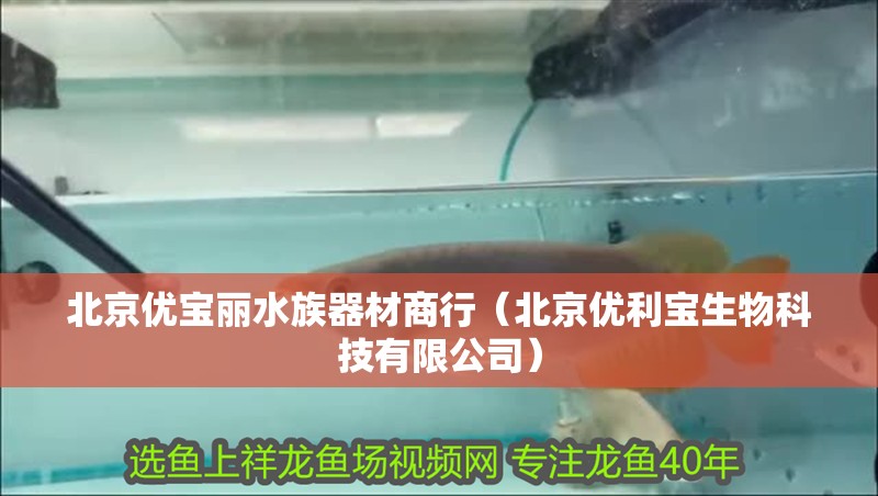 北京優寶麗水族器材商行（北京優利寶生物科技有限公司）