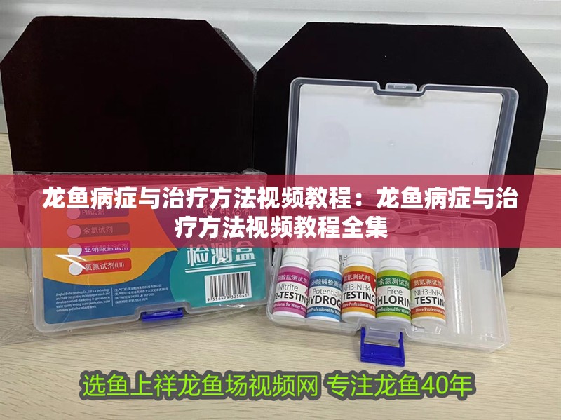 魚缸放幾條黑色的魚（魚缸放幾條黑色的魚好） 魚缸放幾條黑色的魚（魚缸放幾條黑色的魚好） 觀賞魚百科