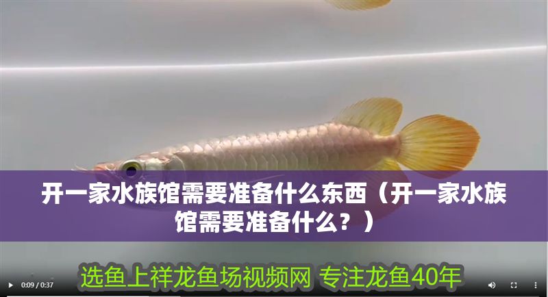 開一家水族館需要準備什么東西（開一家水族館需要準備什么？）