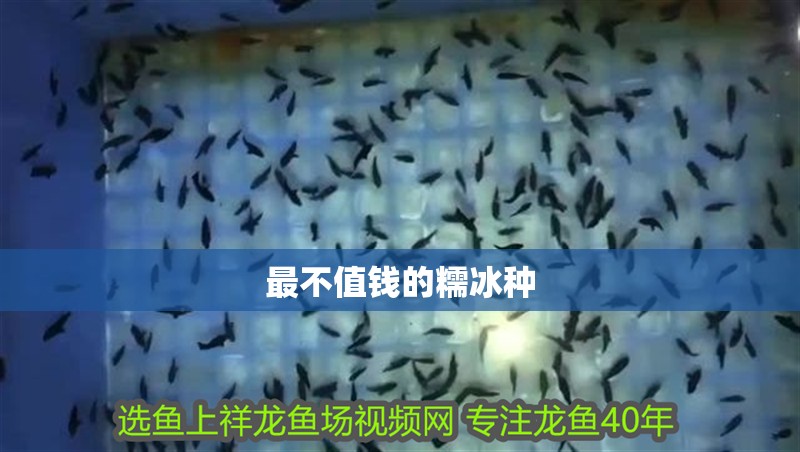 最不值錢的糯冰種