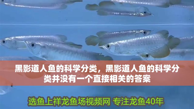 黑影道人魚的科學分類，黑影道人魚的科學分類并沒有一個直接相關的答案