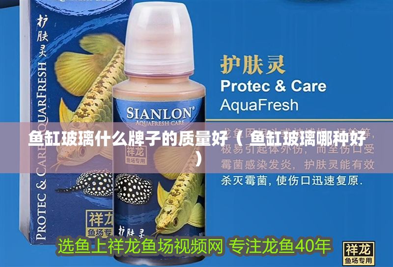 魚缸玻璃什么牌子的質量好（ 魚缸玻璃哪種好）