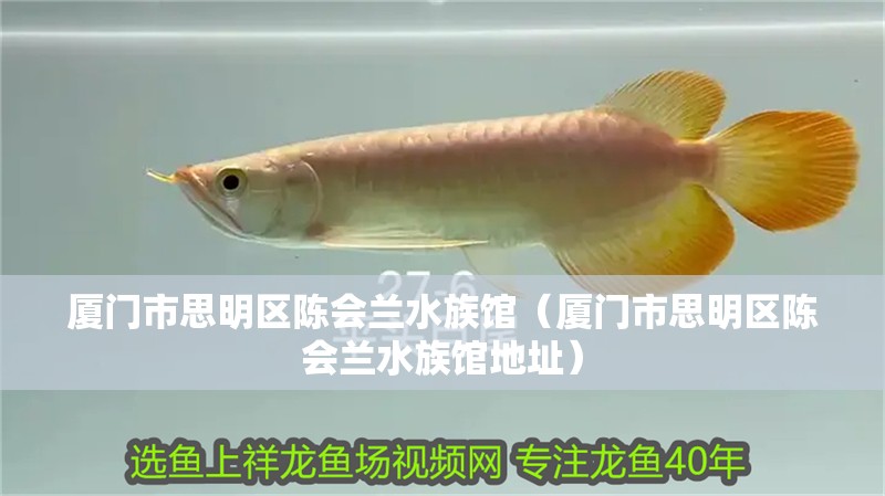 廈門市思明區(qū)陳會蘭水族館（廈門市思明區(qū)陳會蘭水族館地址） 廈門市思明區(qū)陳會蘭水族館（廈門市思明區(qū)陳會蘭水族館地址） 全國水族館企業(yè)名錄 第2張