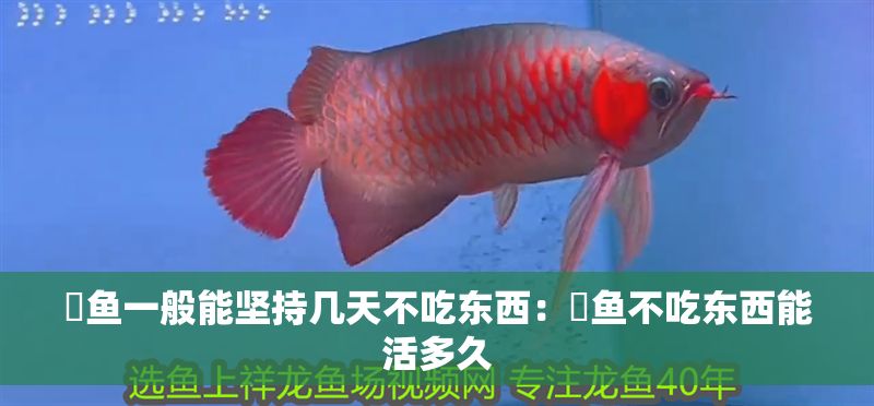 魟魚一般能堅(jiān)持幾天不吃東西：魟魚不吃東西能活多久