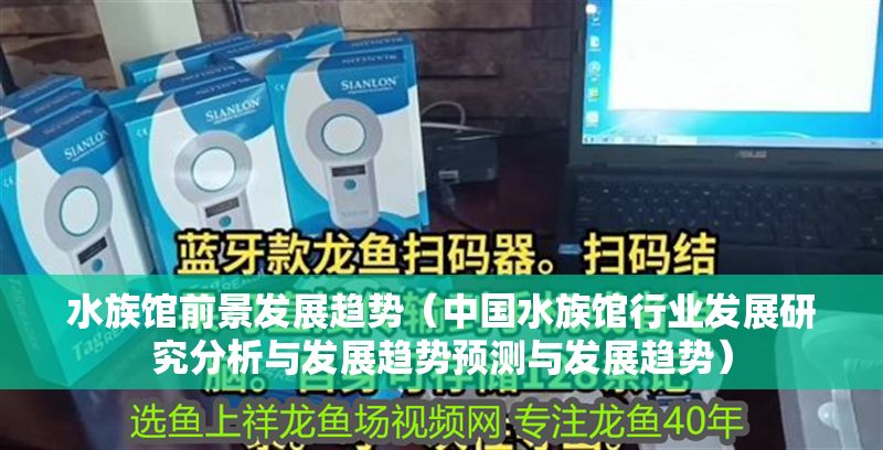 水族館前景發展趨勢（中國水族館行業發展研究分析與發展趨勢預測與發展趨勢）