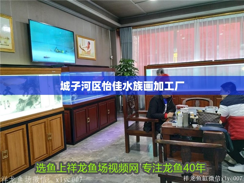城子河區怡佳水族畫加工廠