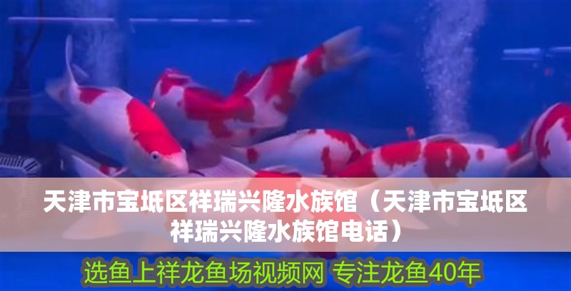 天津市寶坻區(qū)祥瑞興隆水族館（天津市寶坻區(qū)祥瑞興隆水族館電話）