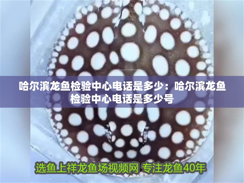 哈爾濱龍魚檢驗中心電話是多少：哈爾濱龍魚檢驗中心電話是多少號