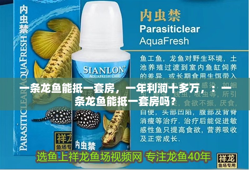 一條龍魚能抵一套房，一年利潤十多萬，：一條龍魚能抵一套房嗎？