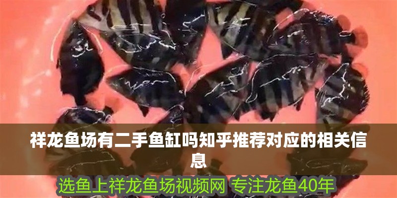 祥龍魚場有二手魚缸嗎知乎推薦對應(yīng)的相關(guān)信息