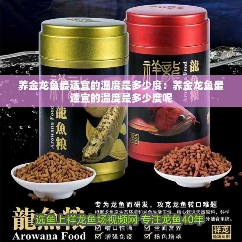 養(yǎng)金龍魚最適宜的溫度是多少度：養(yǎng)金龍魚最適宜的溫度是多少度呢