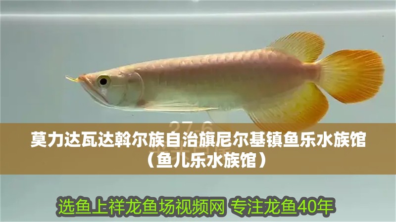 莫力達瓦達斡爾族自治旗尼爾基鎮魚樂水族館（魚兒樂水族館）
