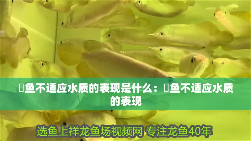 魟魚不適應水質的表現是什么：魟魚不適應水質的表現