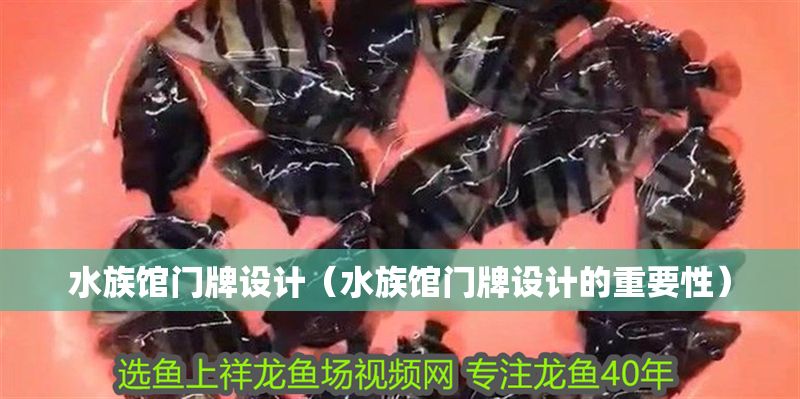 水族館門牌設(shè)計（水族館門牌設(shè)計的重要性）