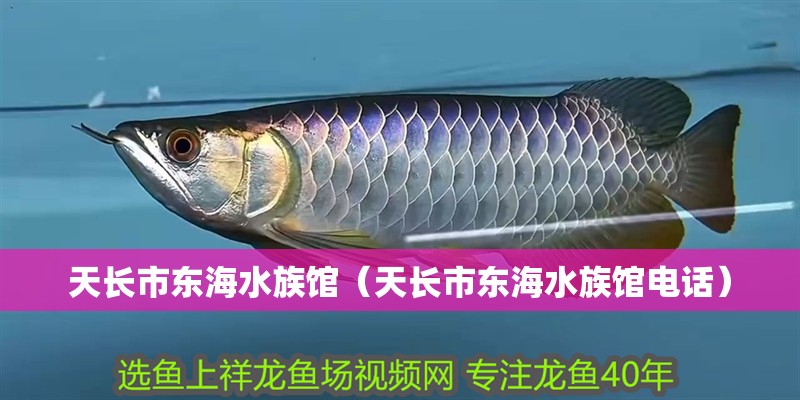 天長市東海水族館（天長市東海水族館電話）