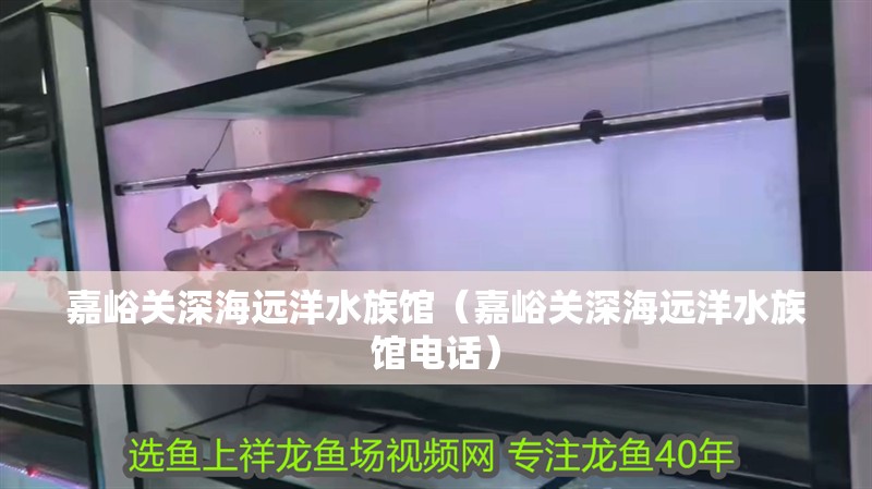 嘉峪關深海遠洋水族館（嘉峪關深海遠洋水族館電話） 嘉峪關深海遠洋水族館（嘉峪關深海遠洋水族館電話） 全國水族館企業名錄 第2張