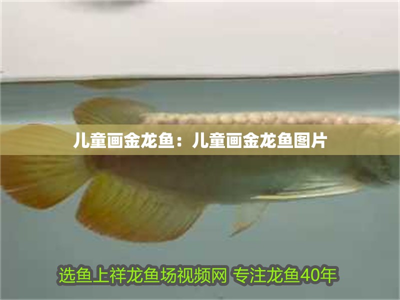 兒童畫金龍魚：兒童畫金龍魚圖片 兒童畫金龍魚：兒童畫金龍魚圖片 水族問答