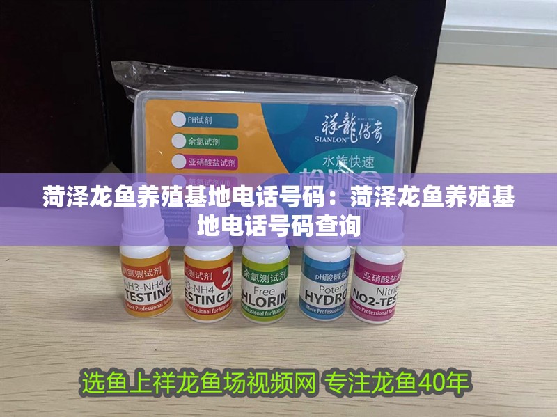 菏澤龍魚養殖基地電話號碼：菏澤龍魚養殖基地電話號碼查詢