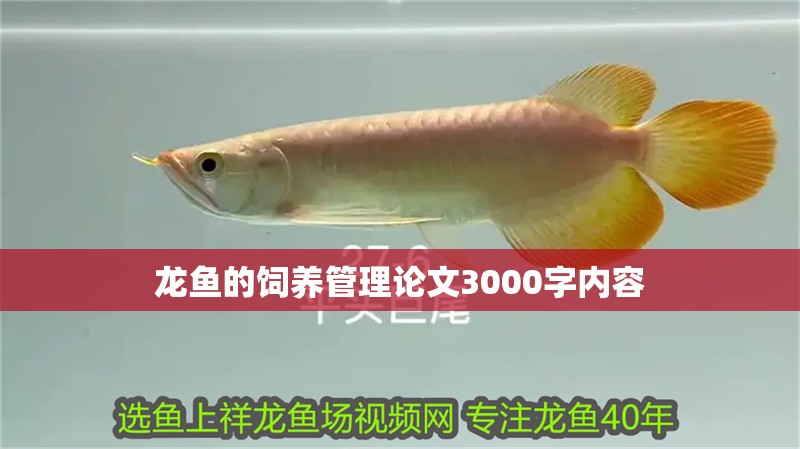 龍魚(yú)的飼養(yǎng)管理論文3000字內(nèi)容