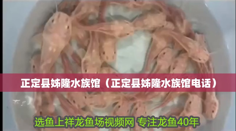 正定縣姊隆水族館（正定縣姊隆水族館電話）